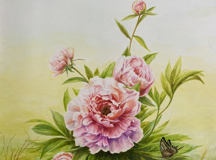 Acquarello e Grafica China