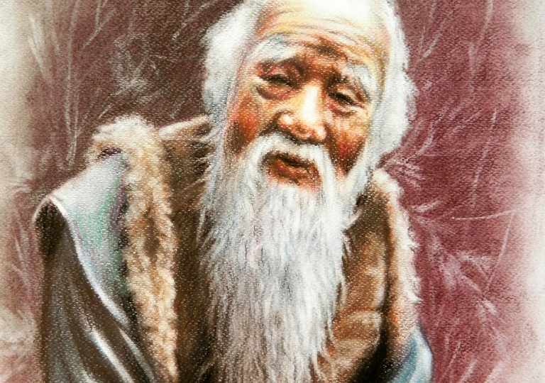 Disegni