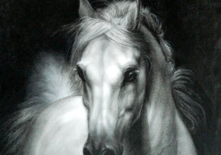 Disegni